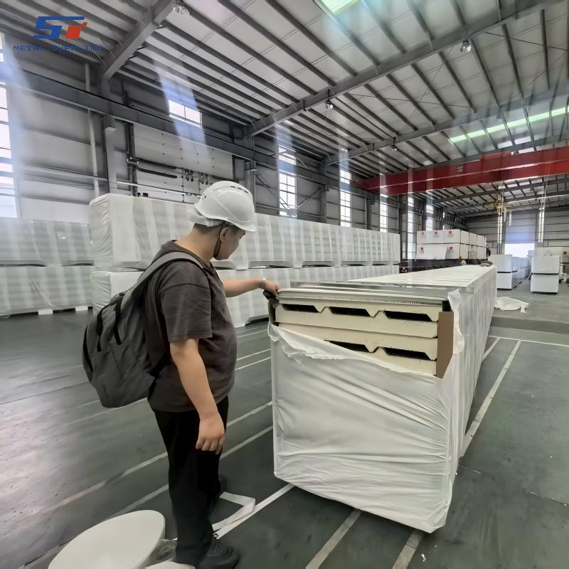 Galvanized Steel Coil and Strip